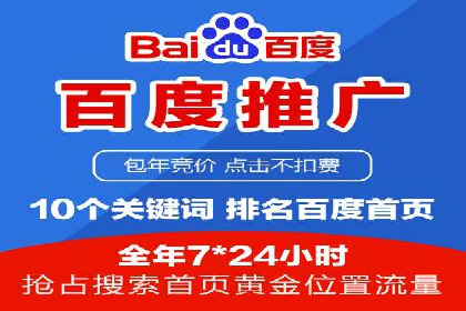 某某SEM服务公司成功案例：从数据出发的营销策略